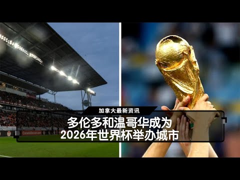 赛车冠军揭,安全装备深,度解析,利记官网,sbo体育入口,利记体育登录